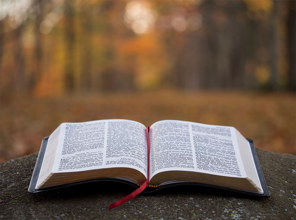[Jubilee columns] Unfolding Praise: 8. Balancing Praise with Other Elements of Worship