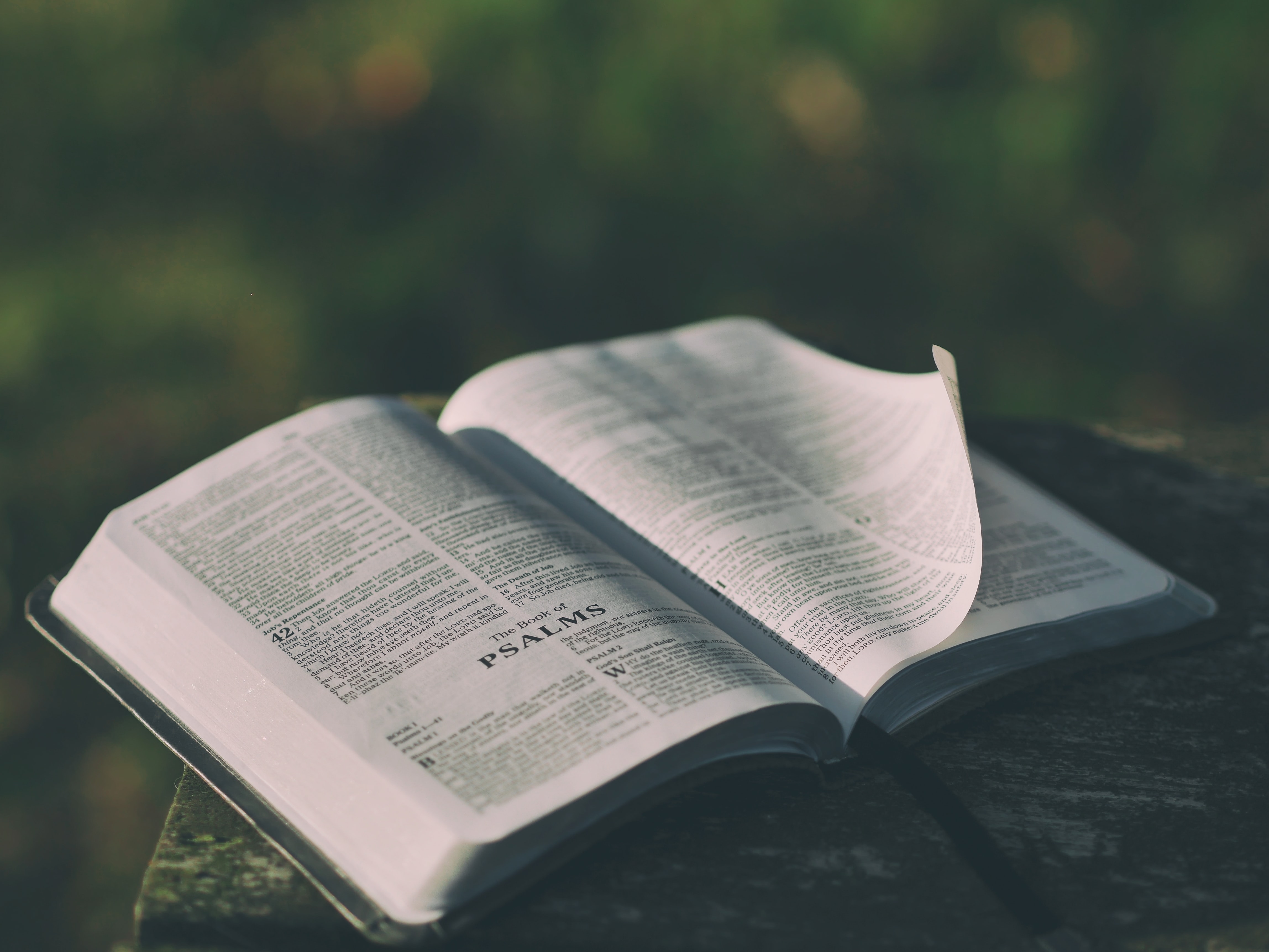 Look to the Psalms